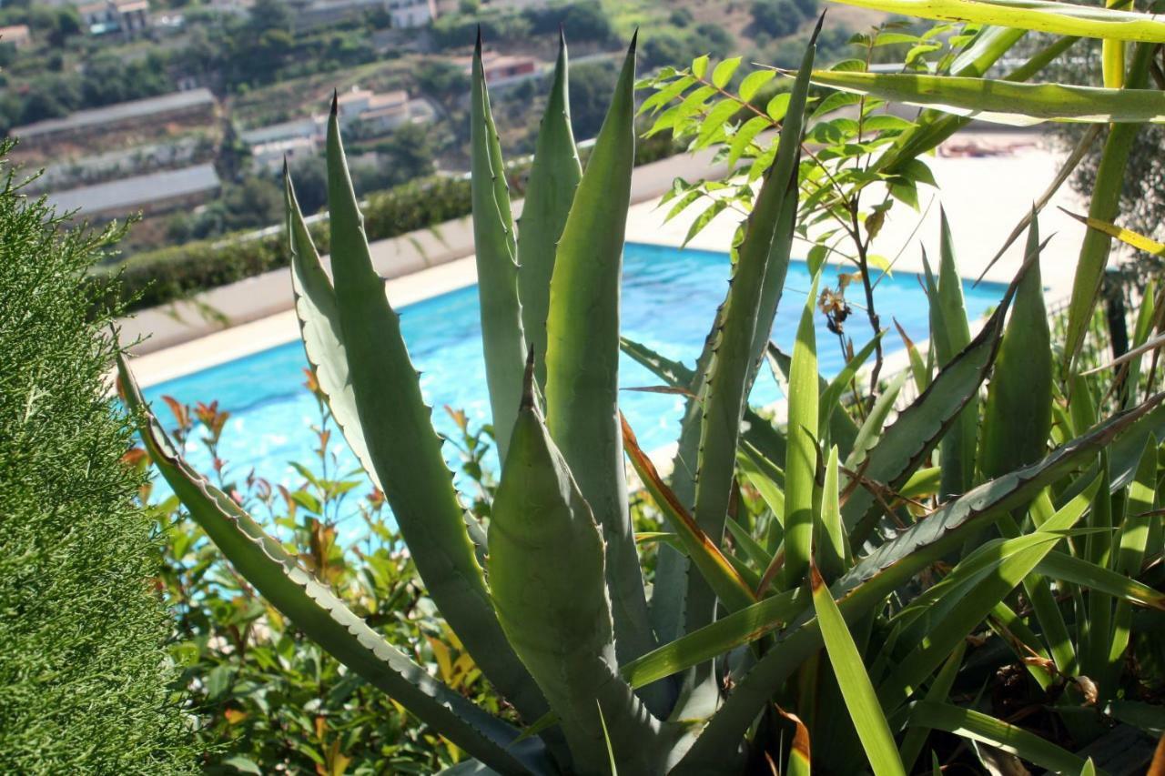Studio Le Fabrina Riviera Nizza Exterior foto